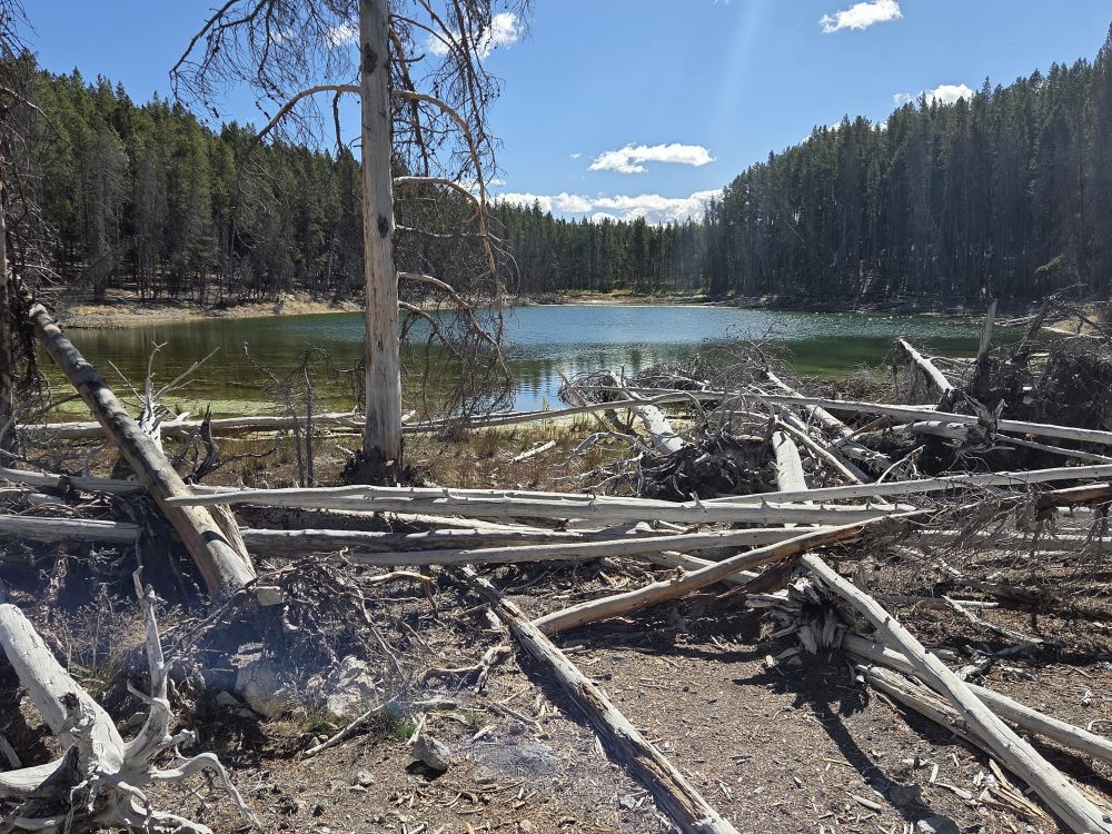 Norris Geyser Basin