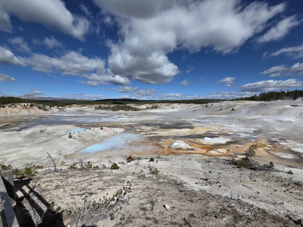 Norris Geyser Basin