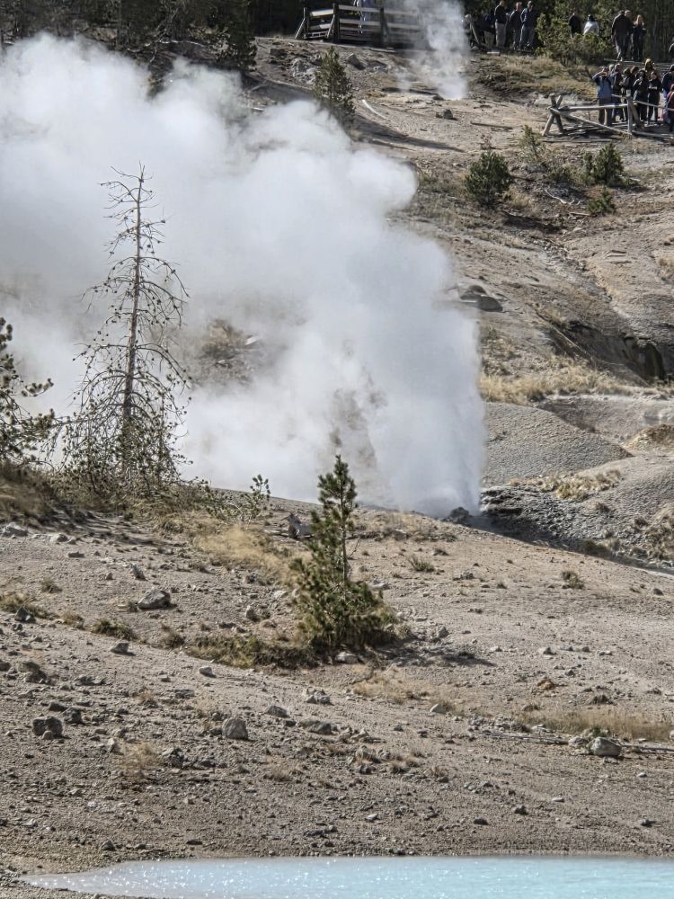 Norris Geyser Basin