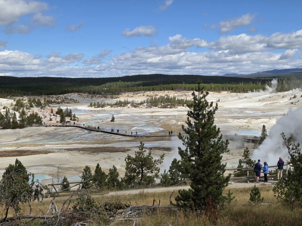 Norris Geyser Basin