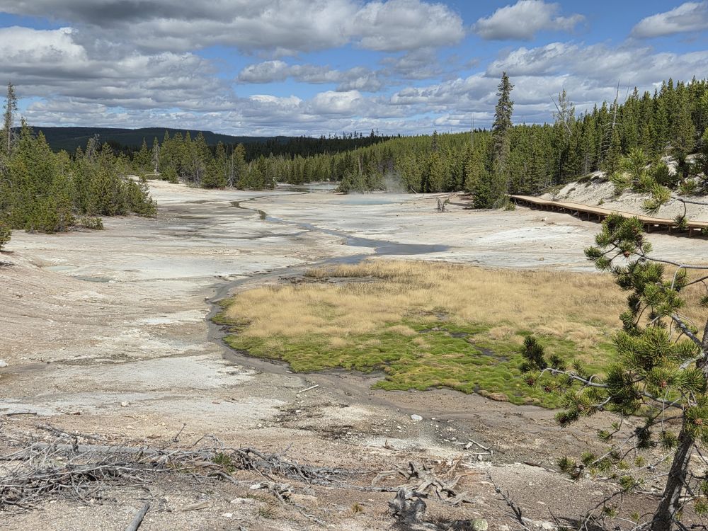 Norris Geyser Basin
