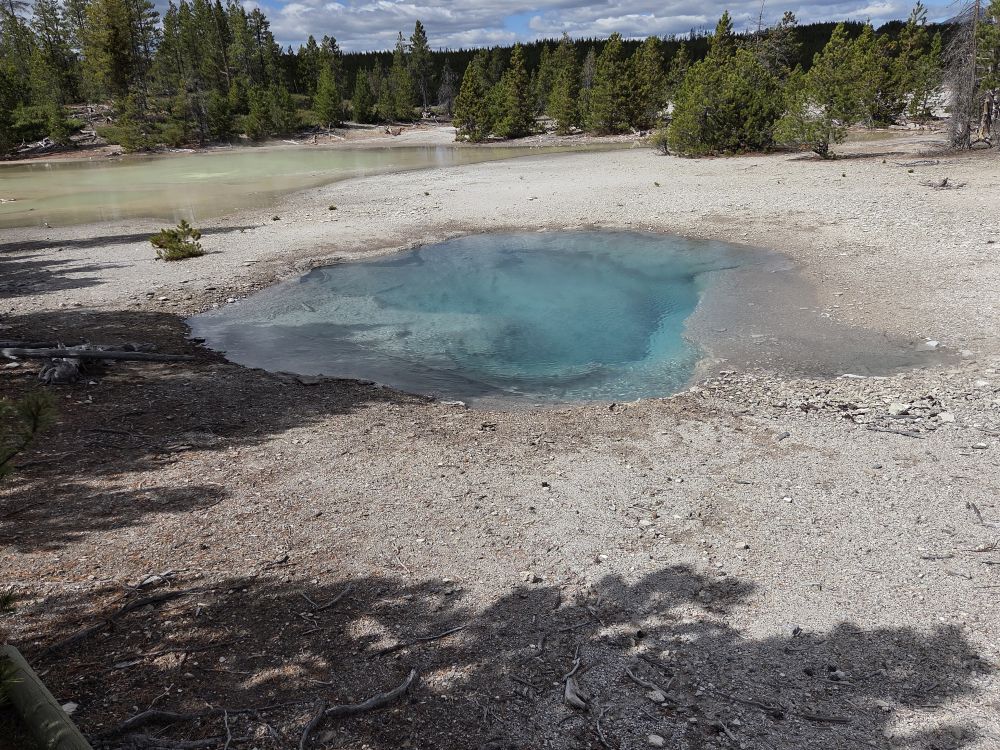 Norris Geyser Basin