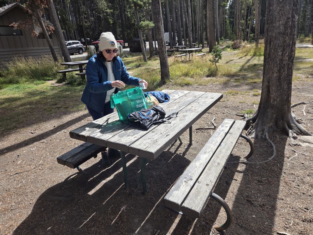 Picnic Lunch