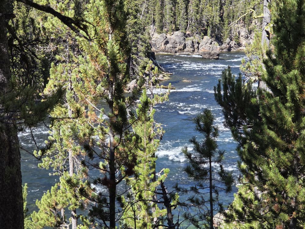 Canyon South Rim Falls Hike