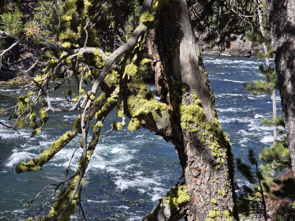 Canyon South Rim Falls Hike