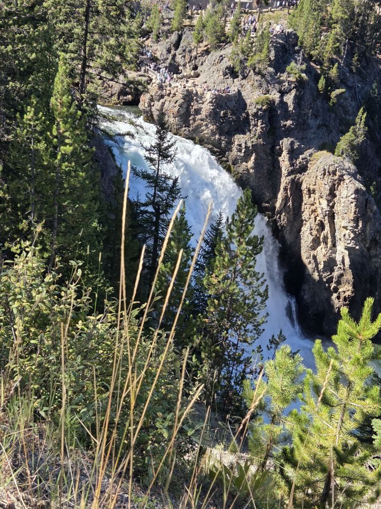 Canyon South Rim Falls Hike