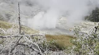 Norris Geyser Basin